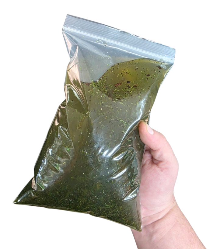 BryoBrick - Premium Compressed Moss Mix image 2