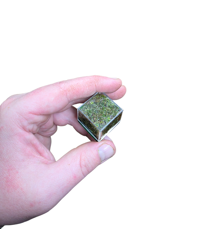 BryoBrick - Premium Compressed Moss Mix image 3