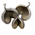 Buddha Pod