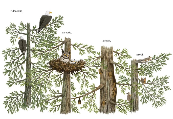 Chronicle Books When A Tree Falls
