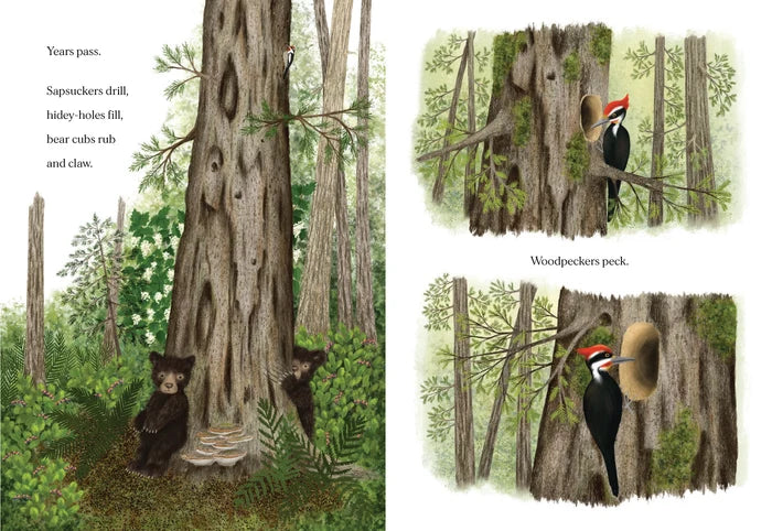 Chronicle Books When A Tree Falls