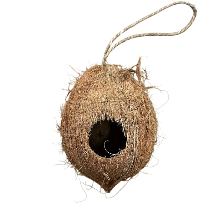 Coconut Hanging Hide