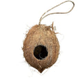 Coconut Hanging Hide