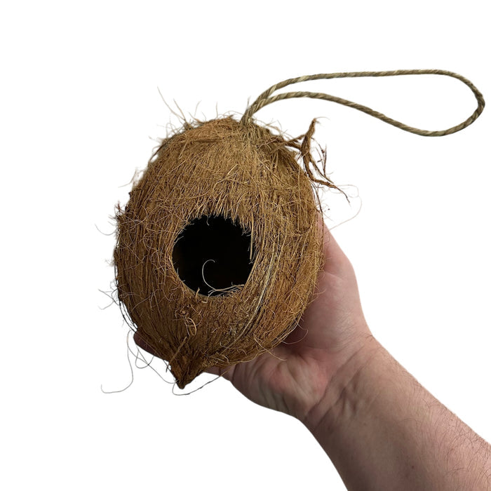 Coconut Hanging Hide image 2