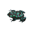 Dendrobates auratus "Camo" Tadpole