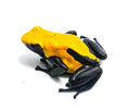 Dendrobates tinctorius "Citronella"