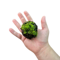 FrogDaddy BryoSpheres