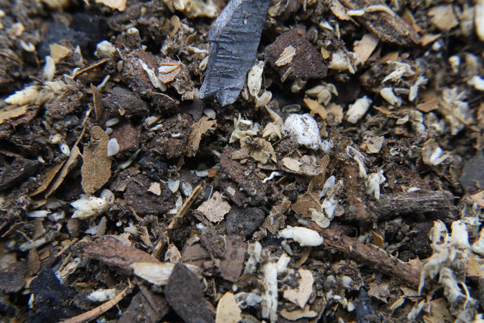 FrogDaddy FaunaBoost Isopod Substrate image 2