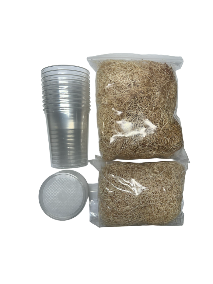 FrogDaddy Fruit Fly Culturing Equipment - Subscription