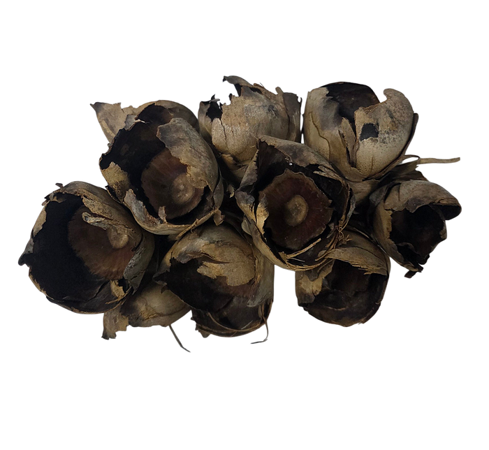 Hive Pods