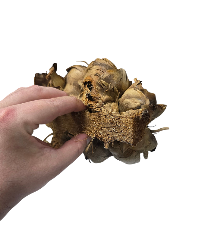 Hive Pods