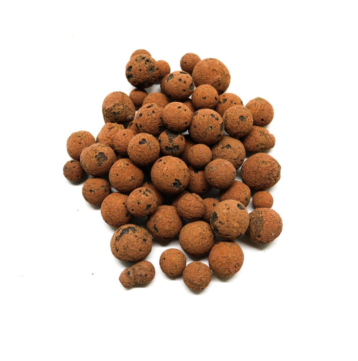 Hydroton (Hydroballs - Drainage Layer / Hydroponic Material)