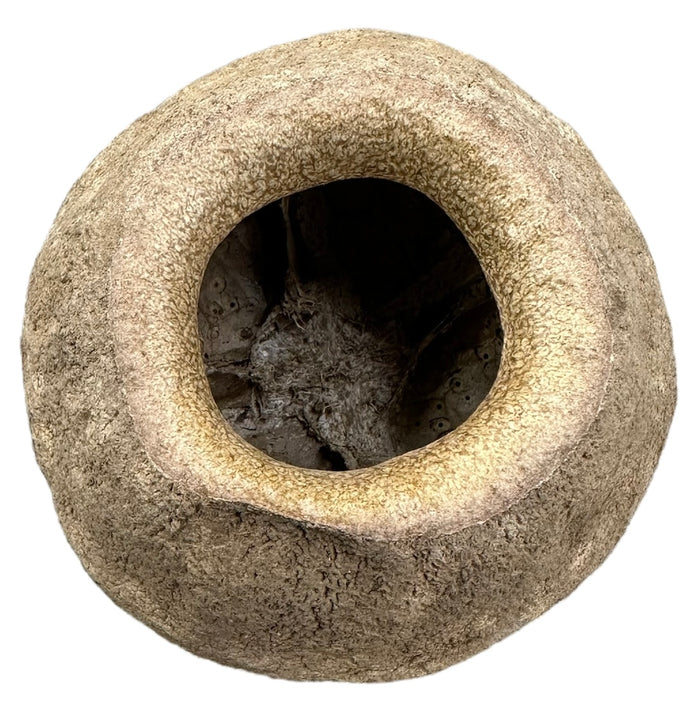 King Pod image 2