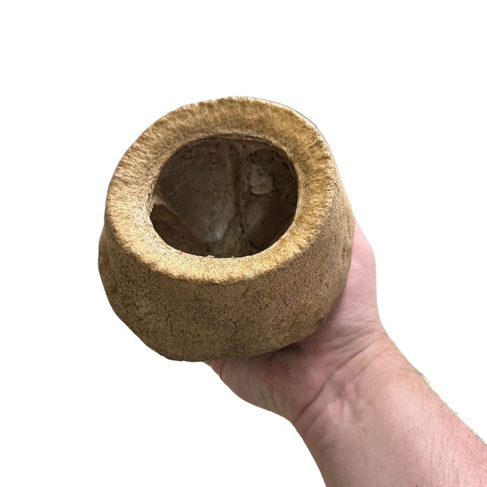 King Pod image 5