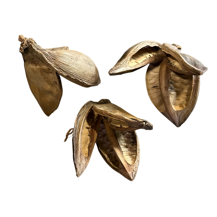 Large Star Pods