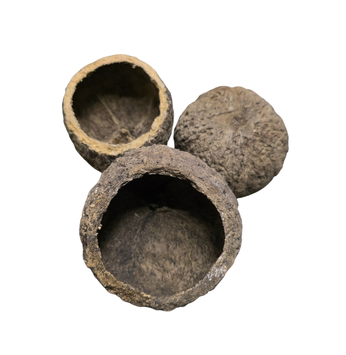 Mayan Pod