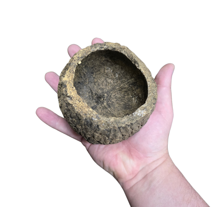 Mayan Pod image 3