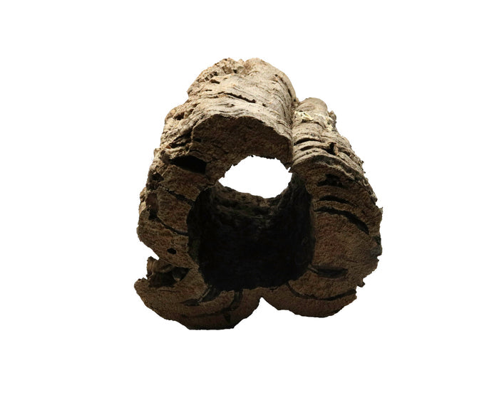 Natural Cork Bark Rounds for Vivariums and Terrariums