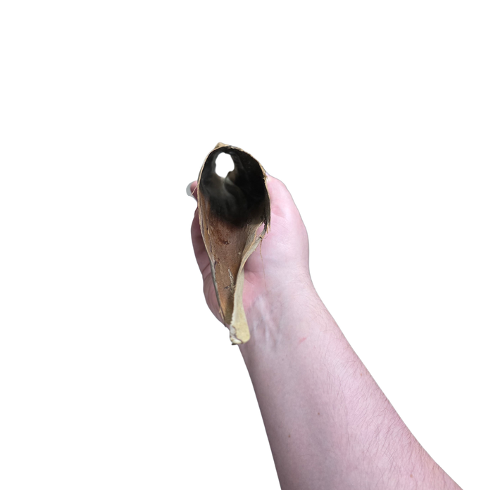 Palm Bract Hide image 3