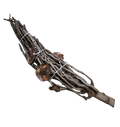 Palm Branch