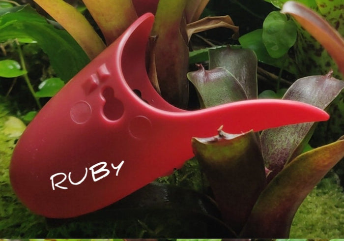 Tad Pool - Ruby image 3