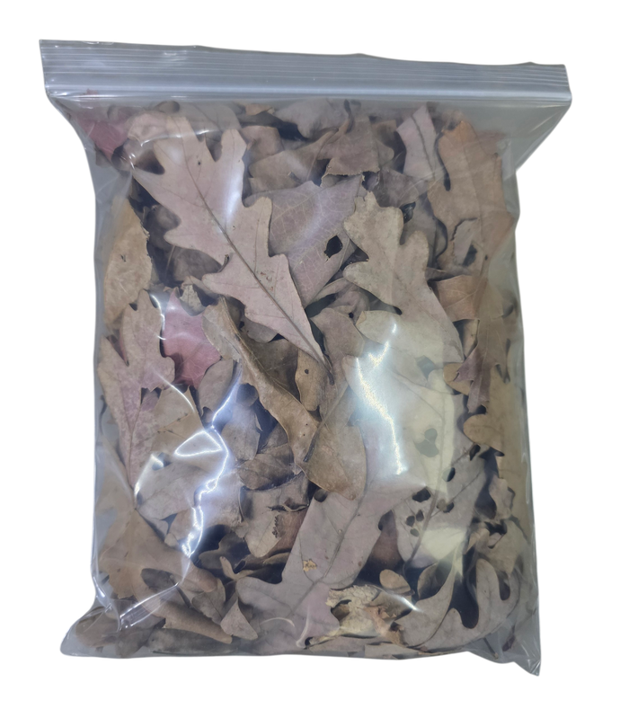Temperate Leaf Litter - Fall Fantasy Oak Blend image 2